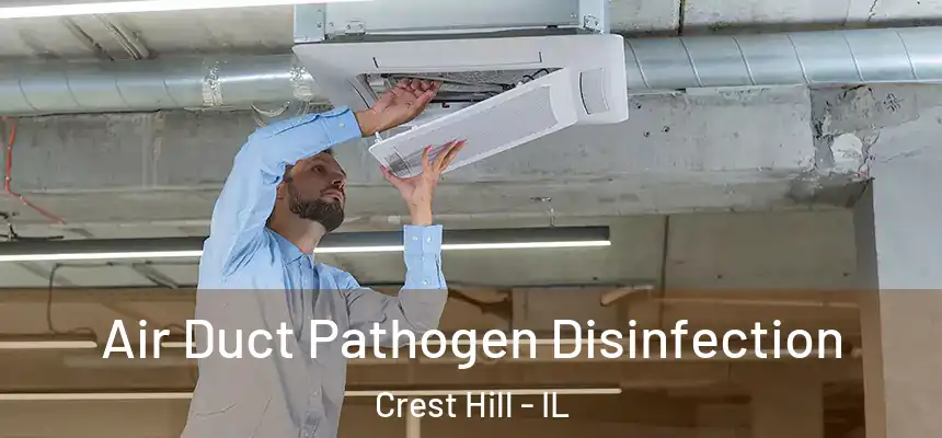  Air Duct Pathogen Disinfection Crest Hill - IL