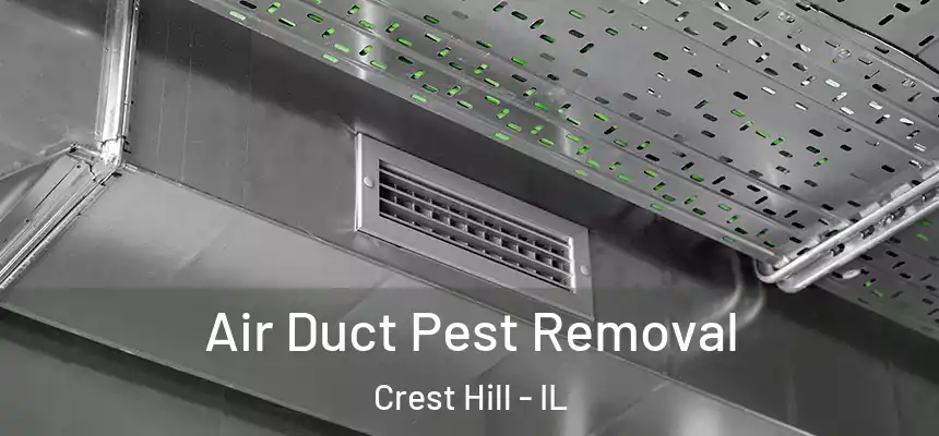  Air Duct Pest Removal Crest Hill - IL
