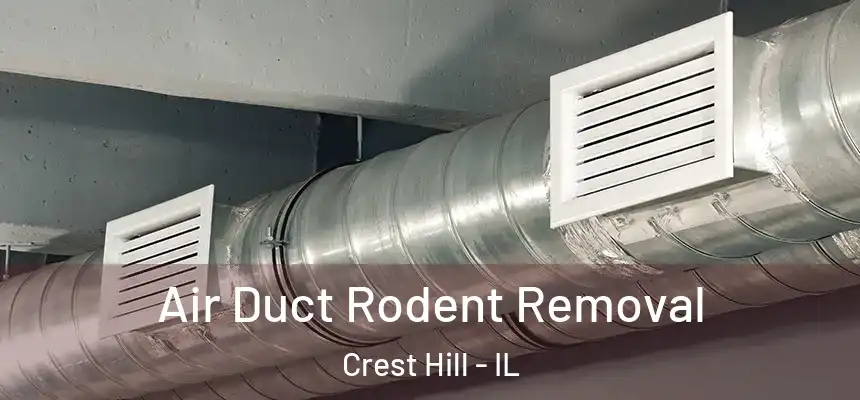 Air Duct Rodent Removal Crest Hill - IL