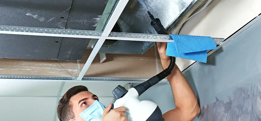Our Air Duct Rodent Removal Services in Crest Hill, IL