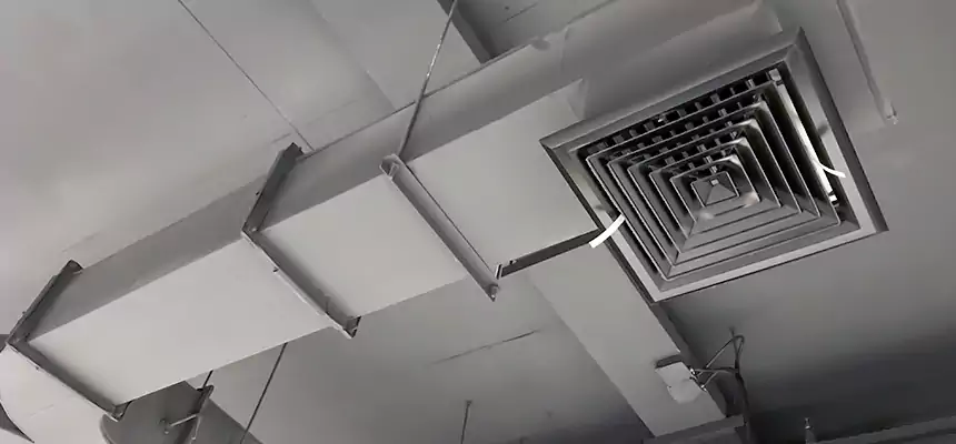 Restorative Allergy Relief Vent Cleaning – Coil, Blower & Housing Detail in Crest Hill