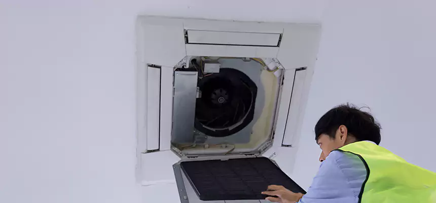 Our Dryer Vent Sanitization Service Services in Crest Hill, IL