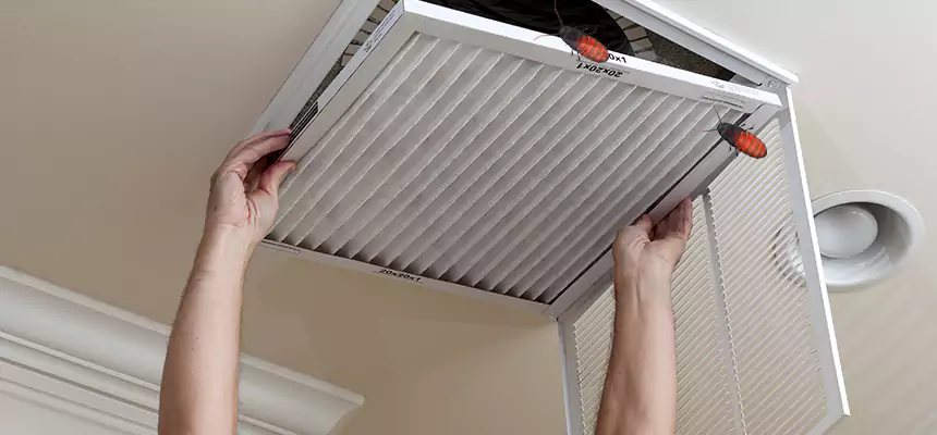 Our Insect Removal from Air Ducts Services in Crest Hill, IL
