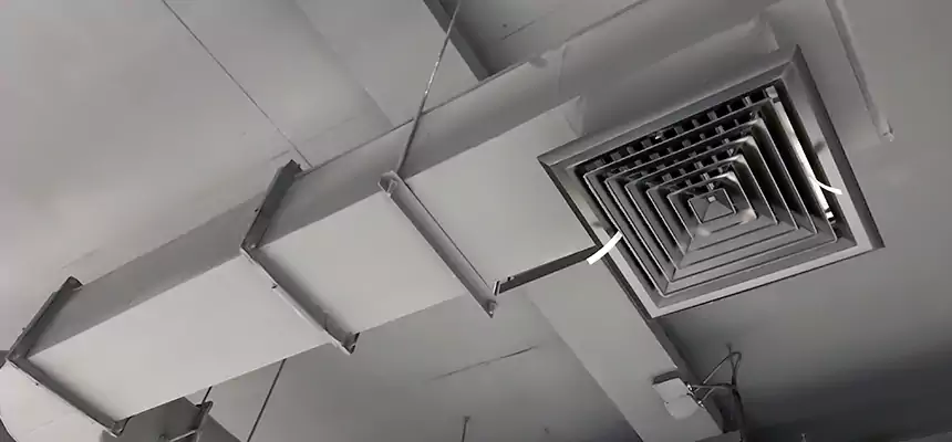 Our Pest Removal From Ducts Services in Crest Hill, IL