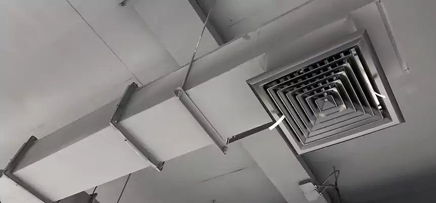 Our Rodent Droppings In Vents Services in Crest Hill, IL