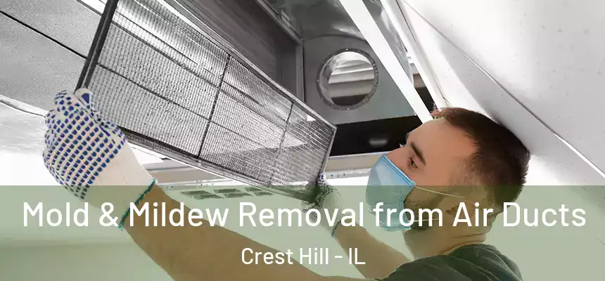 Mold & Mildew Removal from Air Ducts Crest Hill - IL