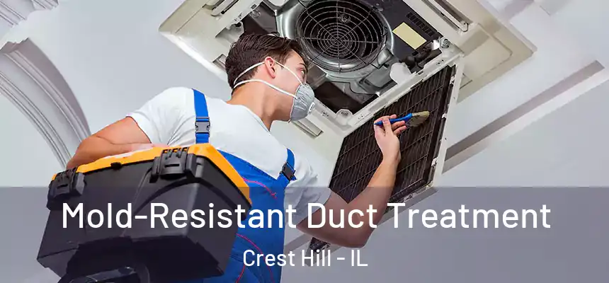 Mold-Resistant Duct Treatment Crest Hill - IL