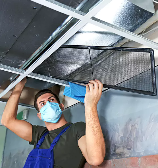 About Air Duct Bacteria Removal in Crest Hill