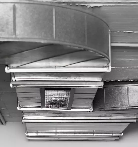 Professional Air Duct Pest Removal in Crest Hill, IL