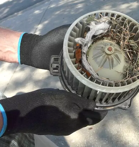 About Air Duct Rat Removal in Crest Hill, IL