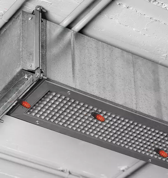 Affordable Insect Removal from Air Ducts in Crest Hill, IL